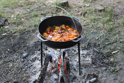 Cast Iron Asian Cauldron with Lid-Frying Pan 15L